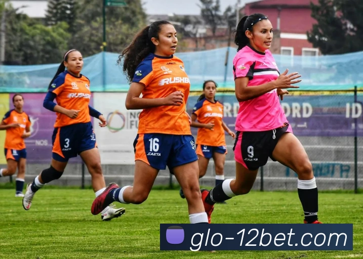 壹贰博12BET官网APP 体育赛事宣传图