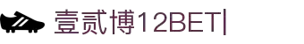 12BET壹贰博官网｜西布朗足球俱乐部合作伙伴